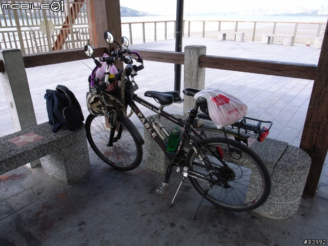 登山車改裝為重型親子單車