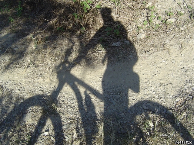 [遊記]尾寮山步道口單車行