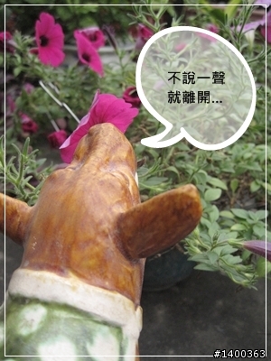 [偽廣告文]驚驚賣古董時間-被拋棄的阿告 (請大家幫忙鑑定一下)