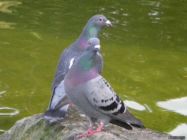 京站時尚廣場隨意拍