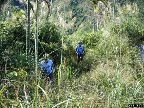 台中縣→到新社頭櫃山(頭拒山)路線介紹