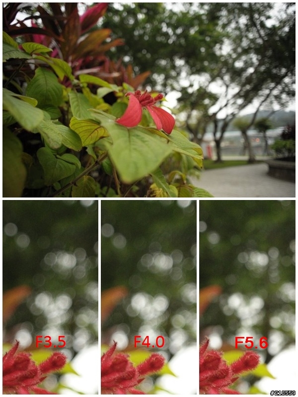 [測試]Nikon對上Voigtlander,20mm廣角定焦鏡大PK~