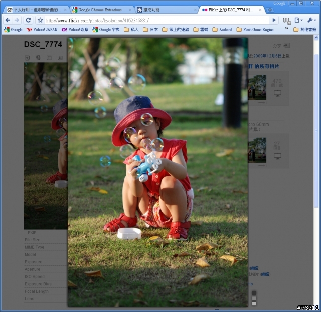Fittr Flickr，好用的Chrome上面顯示flickr資訊的外掛