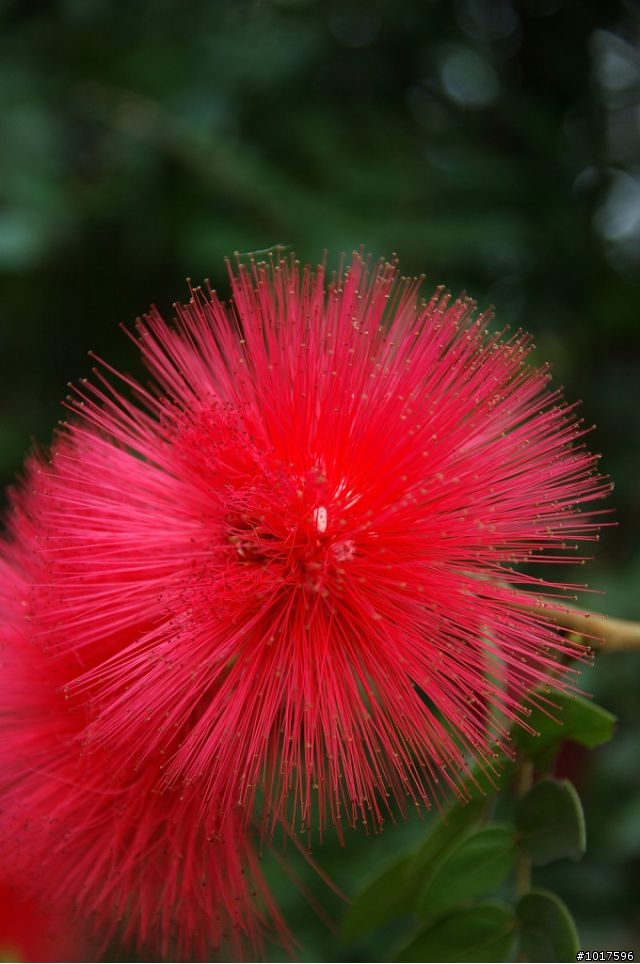 [探路]石門小環庫之楓情畫