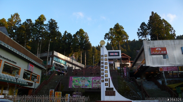 [遊記] 楓紅了part 3....2009阿里山-新中橫單車賞楓紀行