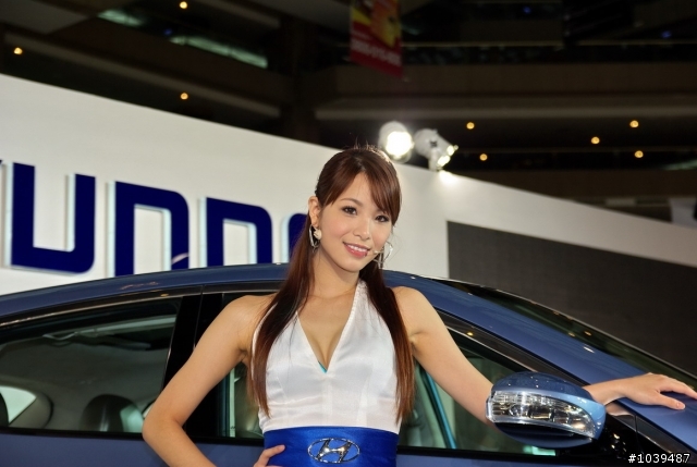 P家蓋2010車展大樓