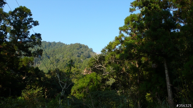 [遊記] 楓紅了part 3....2009阿里山-新中橫單車賞楓紀行