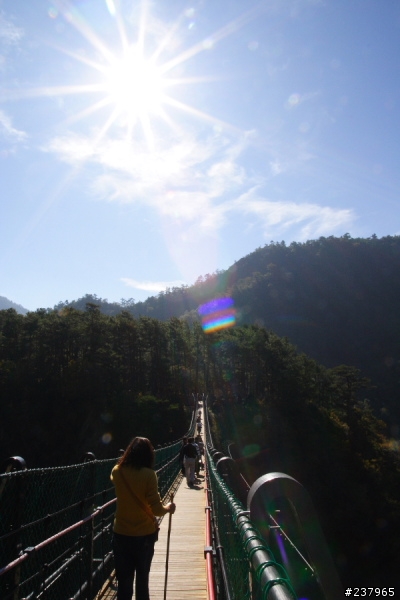 (員工旅遊)新社古堡+清境+奧萬大天梯