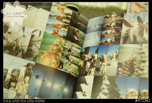 [開箱文] 四格拉炮機 LOMO Super Sampler Rubberized
