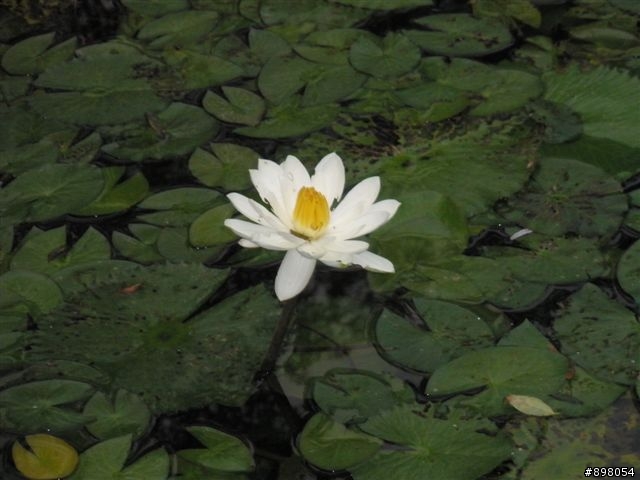 【旅遊】分享涼山瀑布&瑪家鄉風味餐