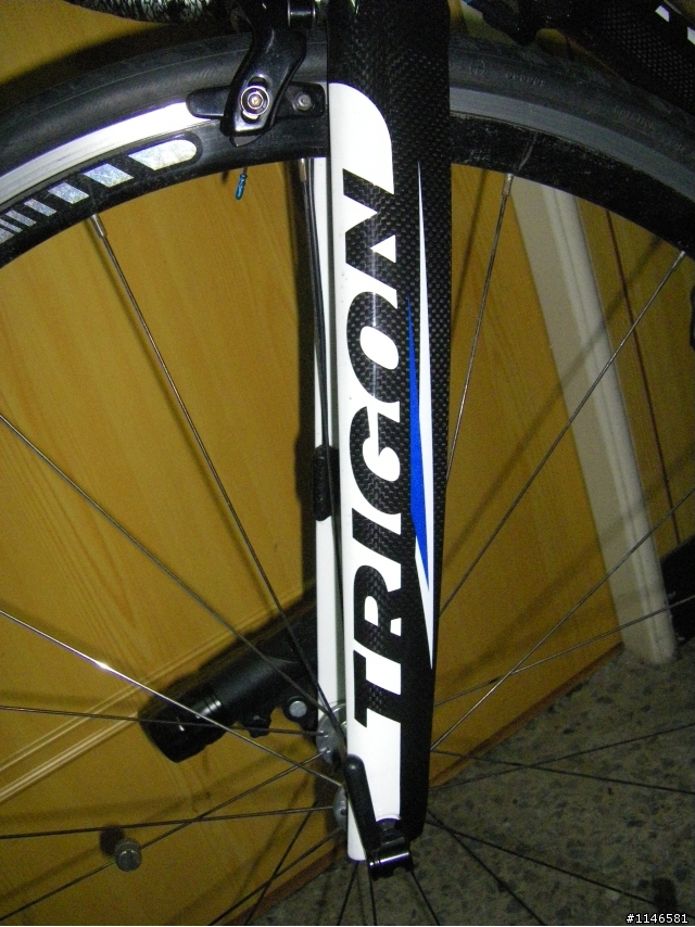 TRIGON碳纖車架初體驗