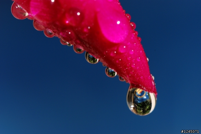 [試拍] 奈米神鏡 105mm F2.8 VR Micro