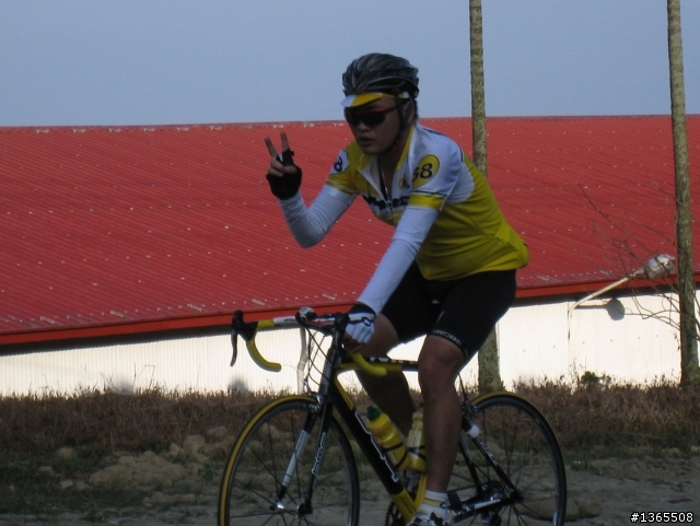 阿里山路況最新報導