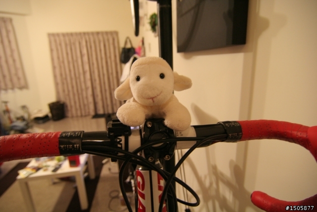 GIANT TCR SL1 辣咩登場!!