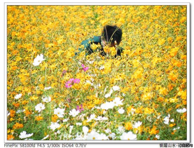 [分享]在寒冷的冬天中能做的三、兩事...