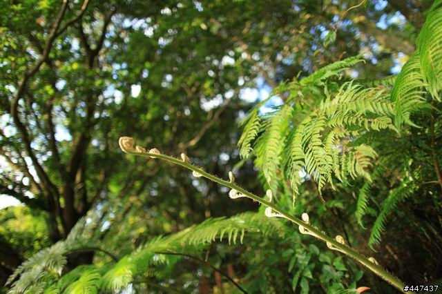 [未儲存文章] 24L II蓋大樓囉!!!