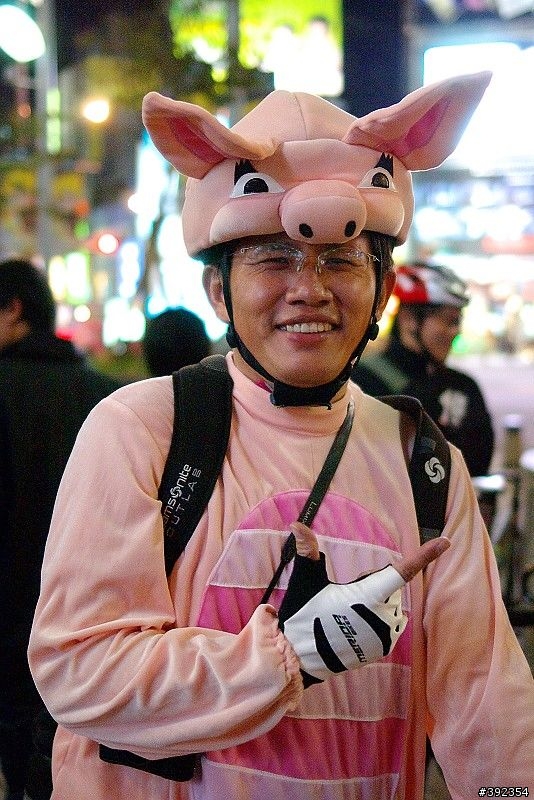 1212遲交的野貓賽照片