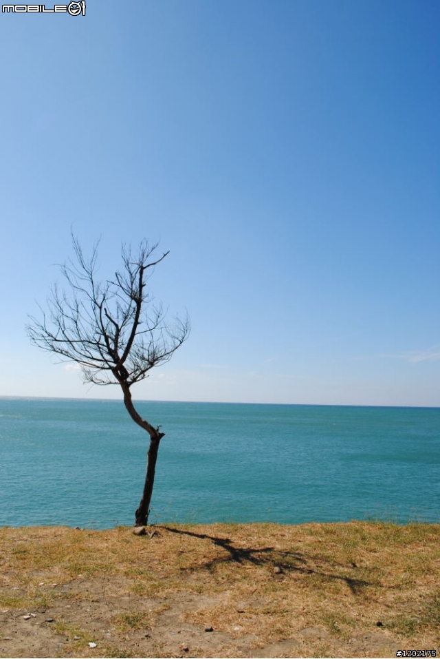 D3000小折車環島精選相片