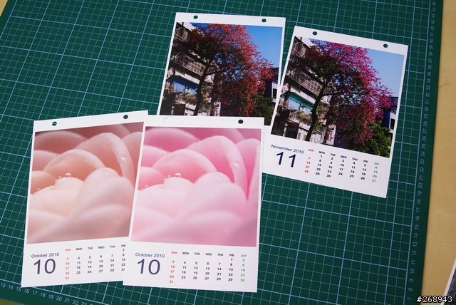 [091229] EPSON DIY 2010桌曆組