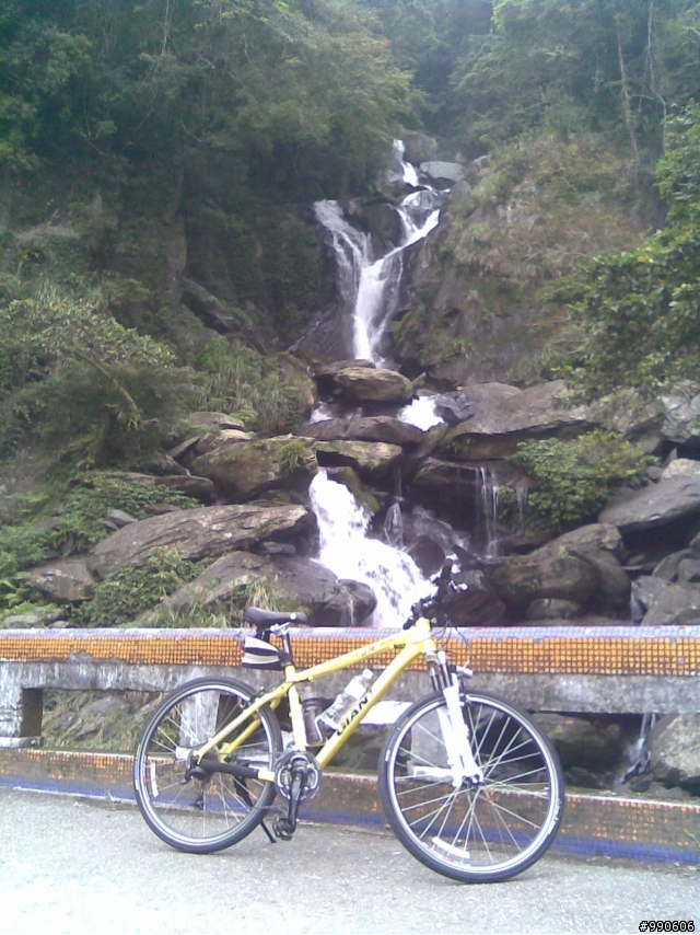 「母幹」閒晃烏來福山西羅岸~