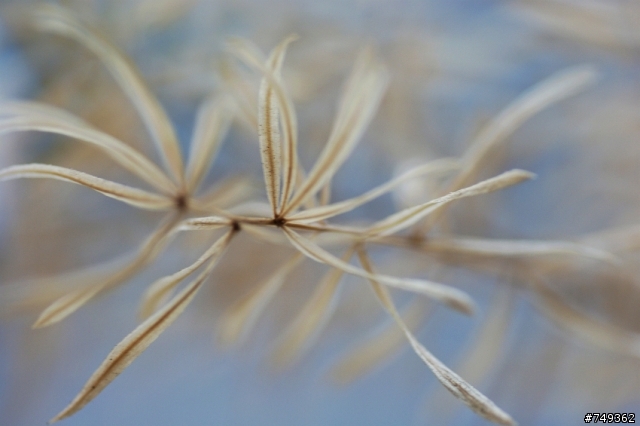 Tamron SP 90mm F2.8 Macro 入手隨意拍攝
