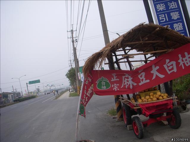 今年最終賽事，2009前進南都100K自行車挑戰賽