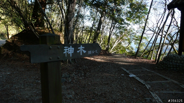 [遊記] 楓紅了part 3....2009阿里山-新中橫單車賞楓紀行