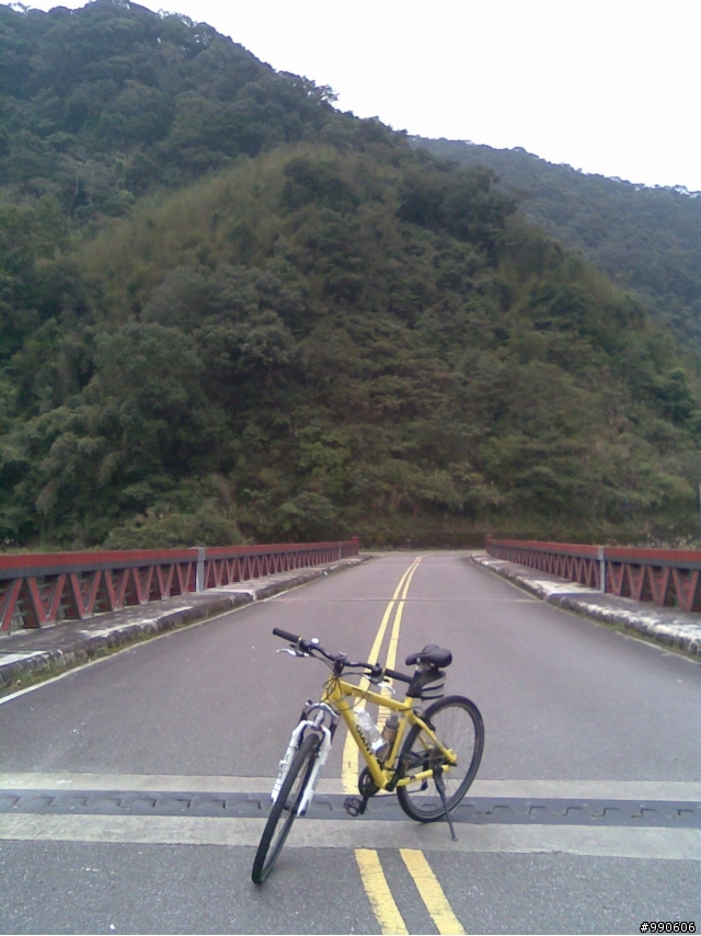 「母幹」閒晃烏來福山西羅岸~
