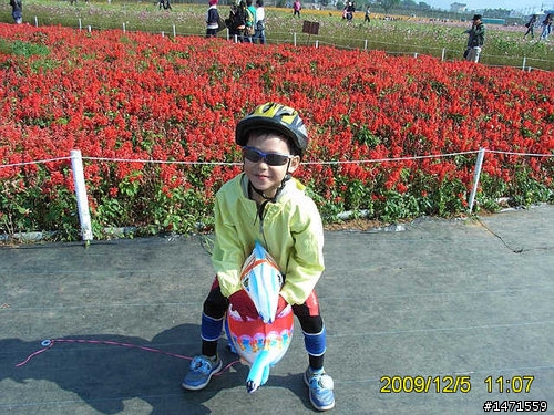 看新社花海不會塞車的路線,中正公園南坑巷-崑山-新社花海