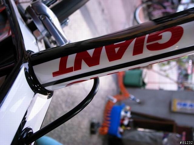 2010 TCR ADVANCED SL 1