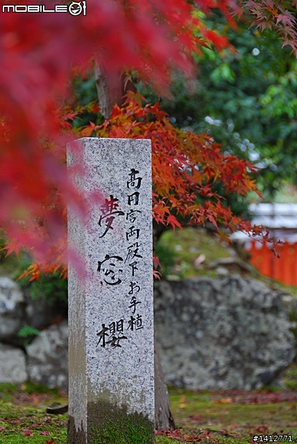 關西走斷腿之旅 (圖多)