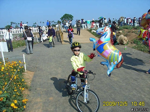 看新社花海不會塞車的路線,中正公園南坑巷-崑山-新社花海