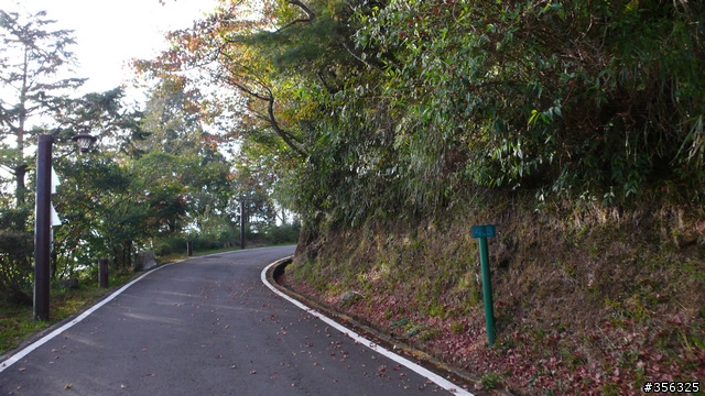 [遊記] 楓紅了part 3....2009阿里山-新中橫單車賞楓紀行