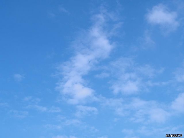 巧遇馬群去海邊吃海鮮(?..