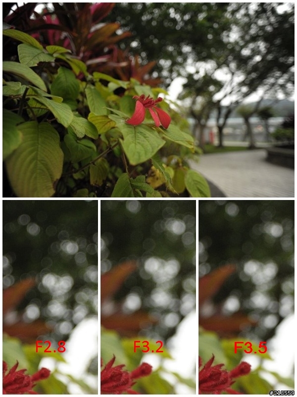 [測試]Nikon對上Voigtlander,20mm廣角定焦鏡大PK~