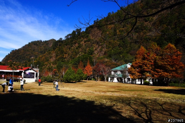 (員工旅遊)新社古堡+清境+奧萬大天梯