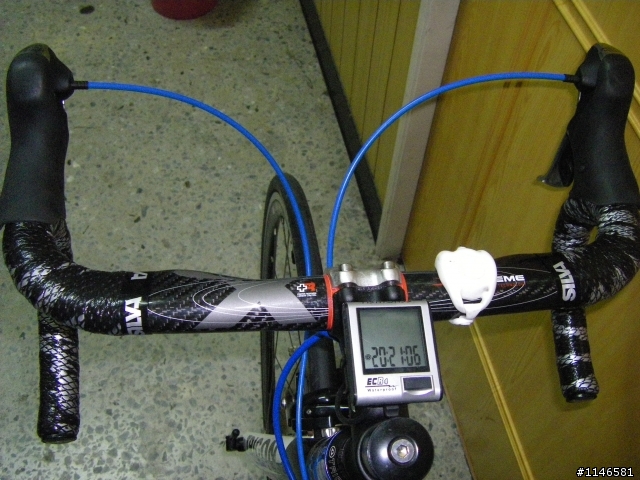 TRIGON碳纖車架初體驗