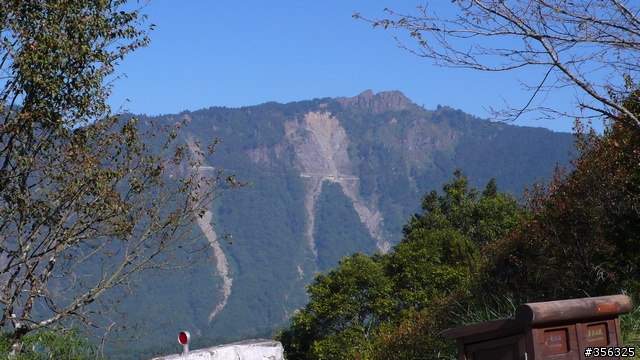 [遊記] 楓紅了part 3....2009阿里山-新中橫單車賞楓紀行
