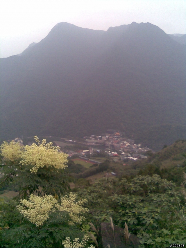 「母幹」閒晃烏來福山西羅岸~