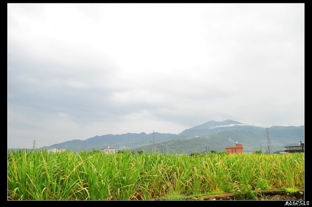 寒舍。田園居。翻新。