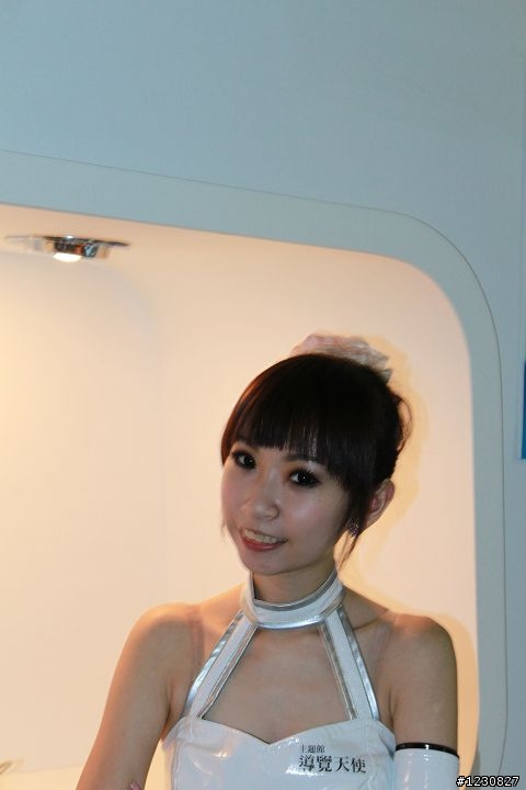 小弟有機會可以蓋98台中資訊月Show Girl的大樓嗎?