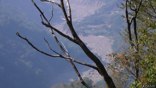 [遊記] 楓紅了part 3....2009阿里山-新中橫單車賞楓紀行