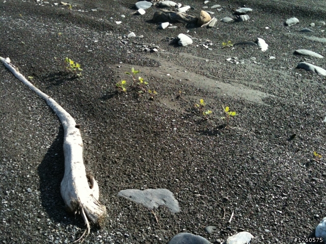 （公路車不宜）偶而闖闖羅東溪也不錯～！