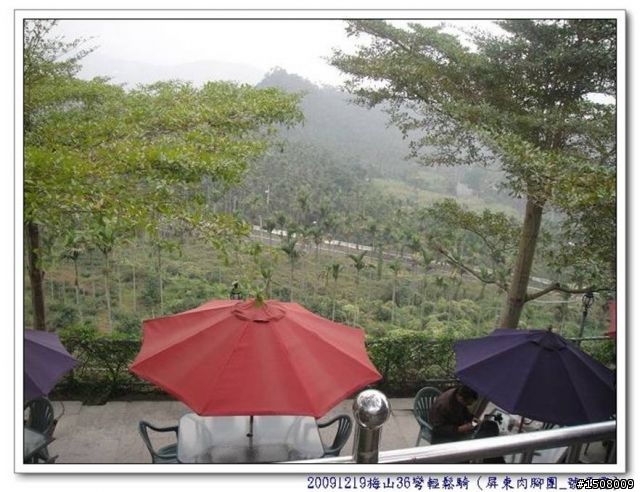【遊記分享】嘉義梅山36彎+華山咖啡