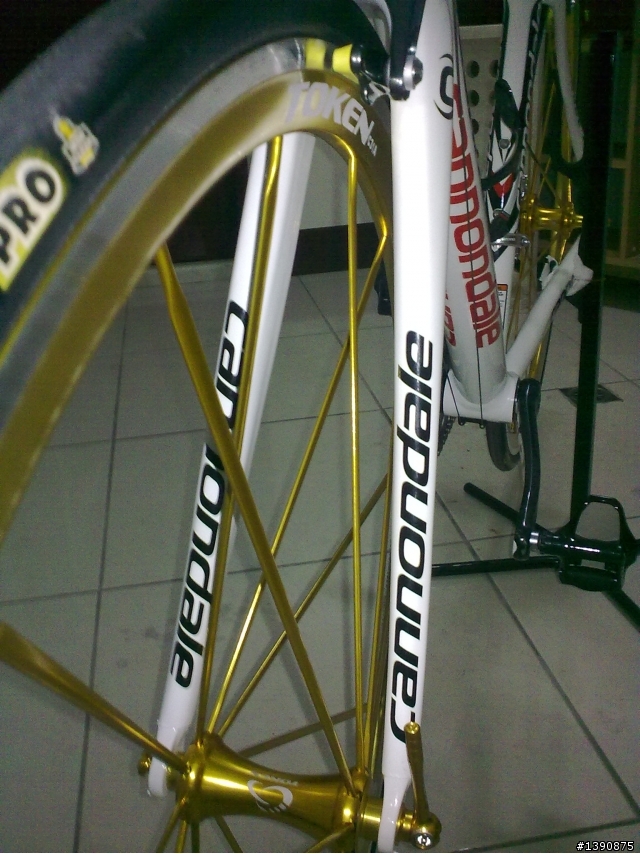 [開箱]限量版 cannondale caad9