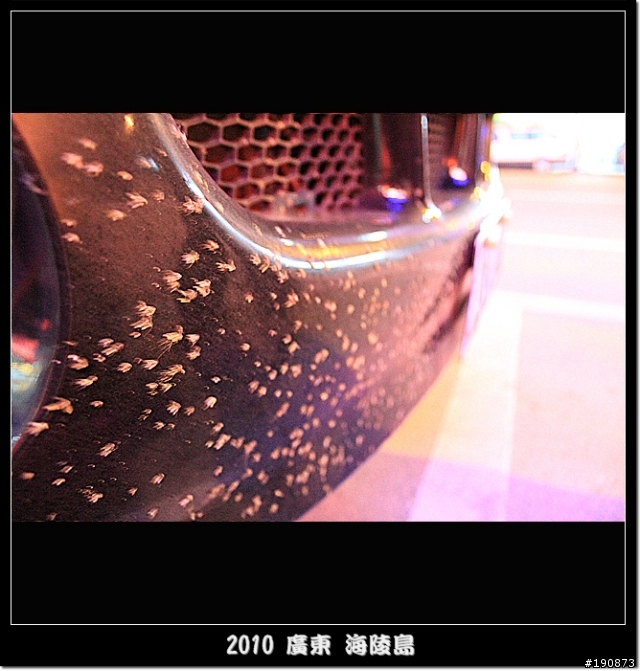 [遊記] 東莞車友區 元旦不騎車之陽江洗溫泉之旅