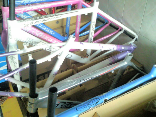 [分享]當KINESIS戀上ATHENA  我的kinesis kr810公路車 誕生～