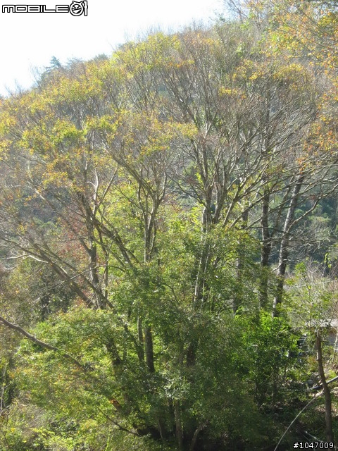 尖石-宇老-秀巒-石磊獨跑去(圖多慎入)