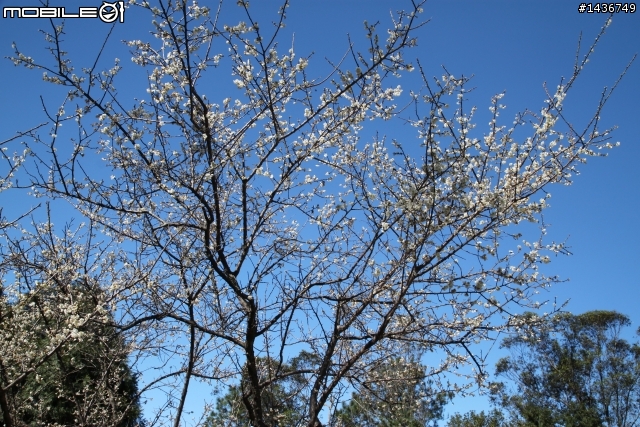 [開箱文] TAMRON B005 17-50mm F/2.8 VC for Canon