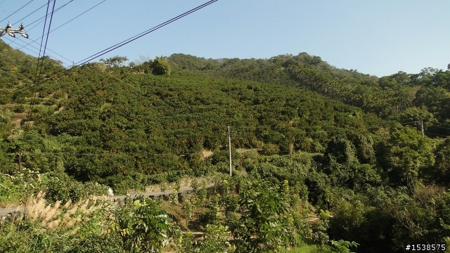 童話世界-鳥瞰石門水庫-熱身之旅